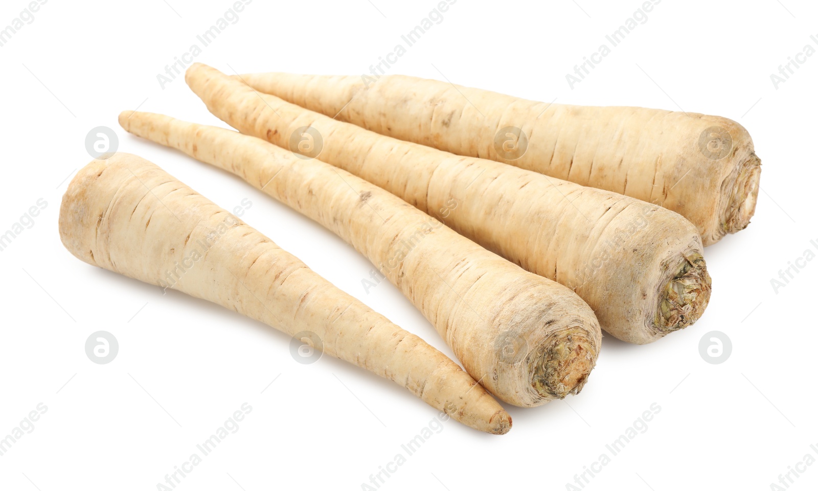 Photo of Many fresh parsley roots isolated on white