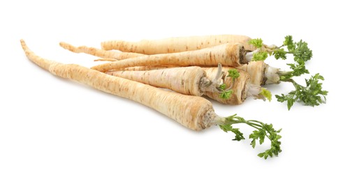 Photo of Many fresh parsley roots isolated on white