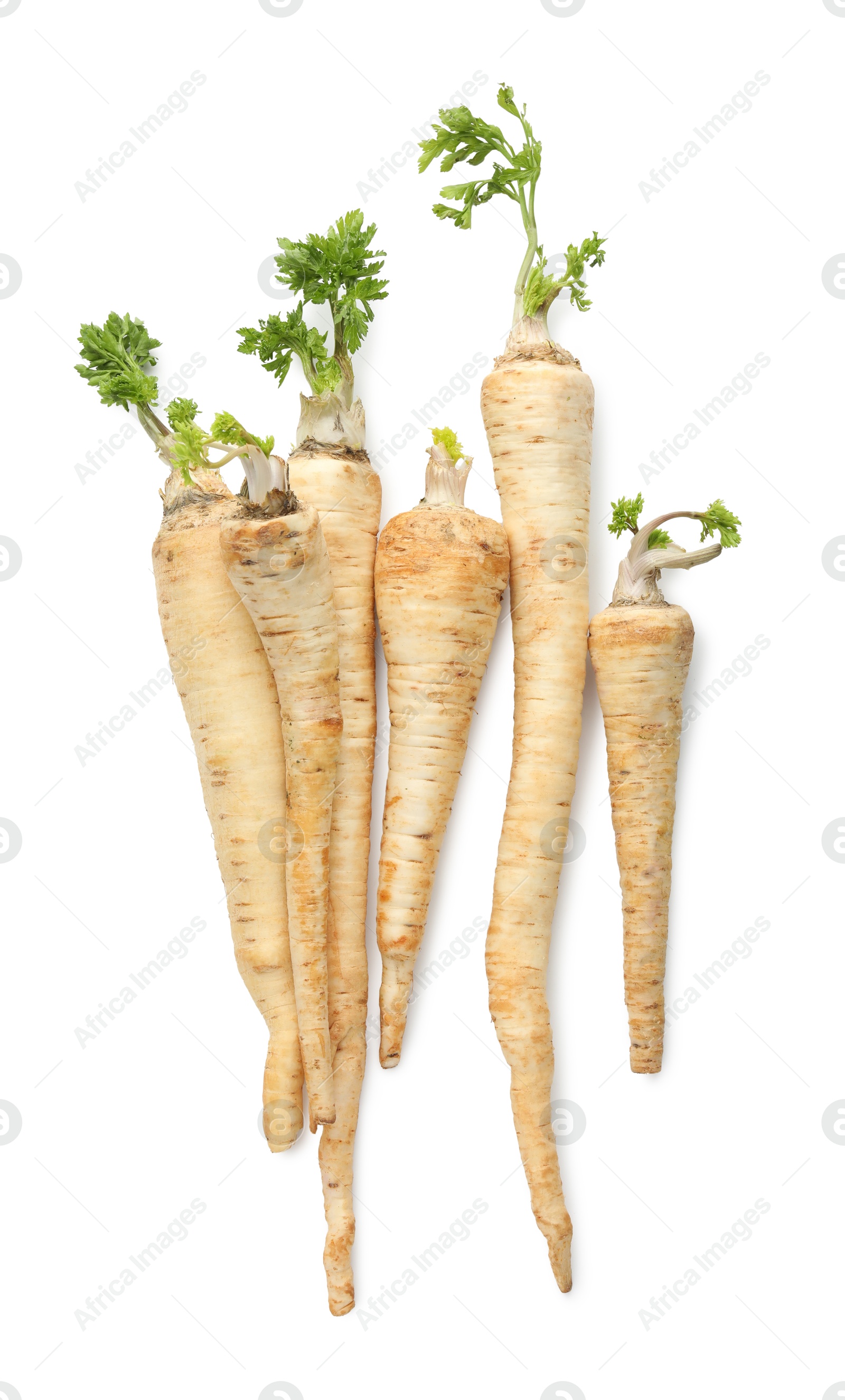 Photo of Many fresh parsley roots isolated on white, top view