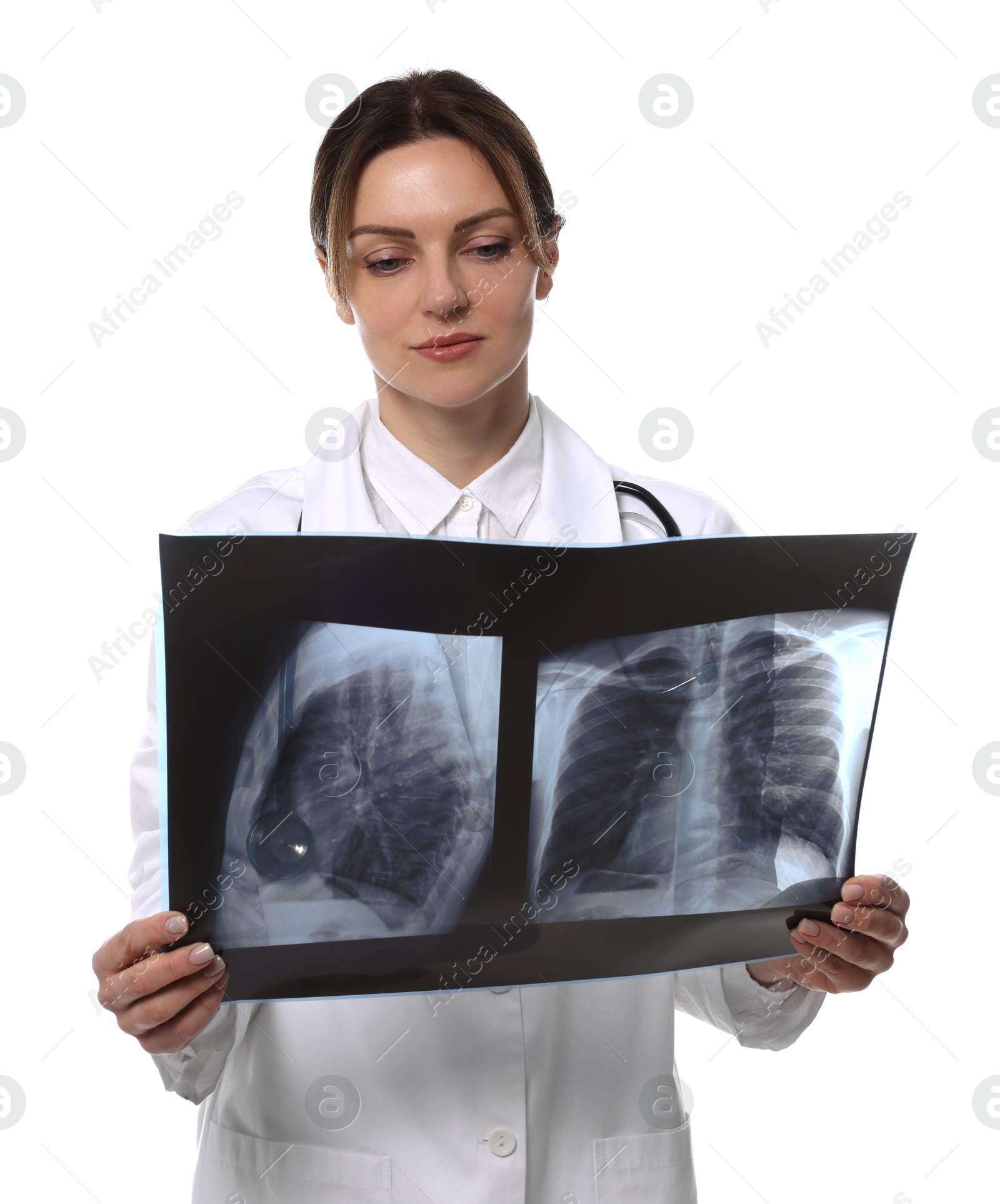 Photo of Doctor examining lungs x-ray on white background