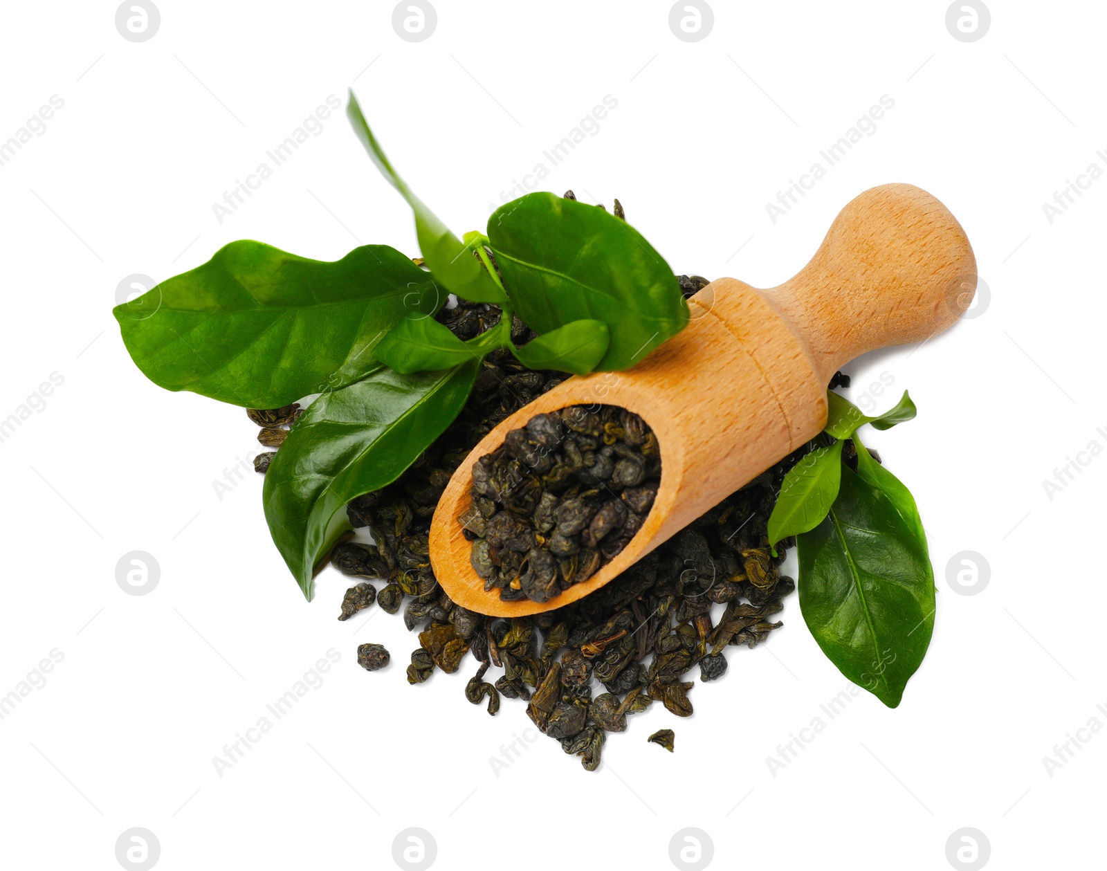 Photo of Dried and fresh tea leaves with scoop isolated on white, top view