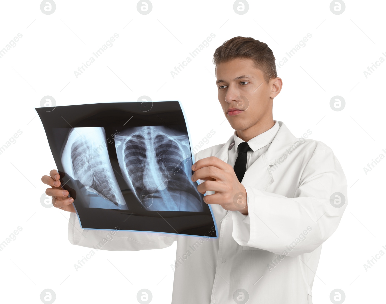 Photo of Doctor examining lungs x-ray on white background