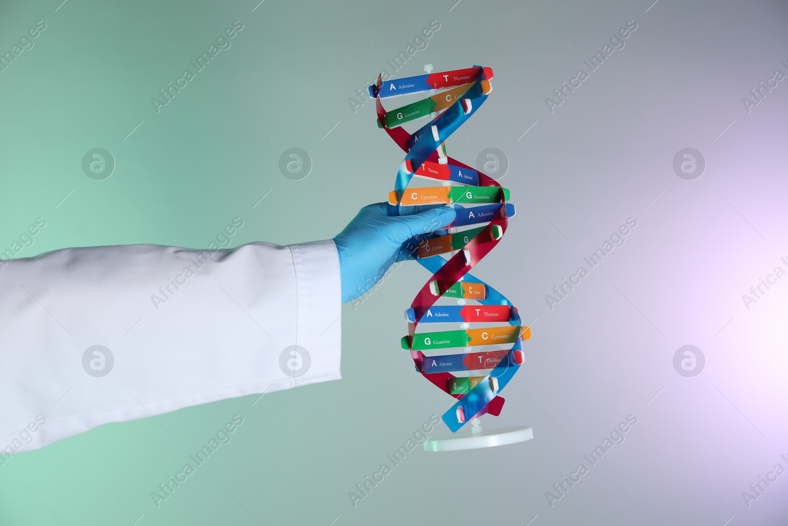 Photo of Scientist with DNA structure model on color background, closeup