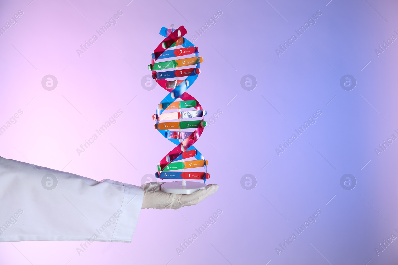 Photo of Scientist with DNA structure model on color background, closeup