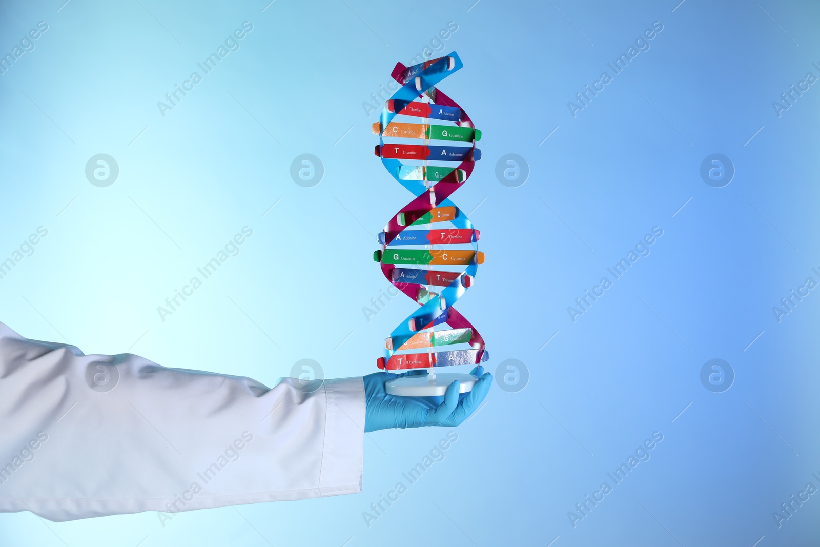 Photo of Scientist with DNA structure model on color background, closeup