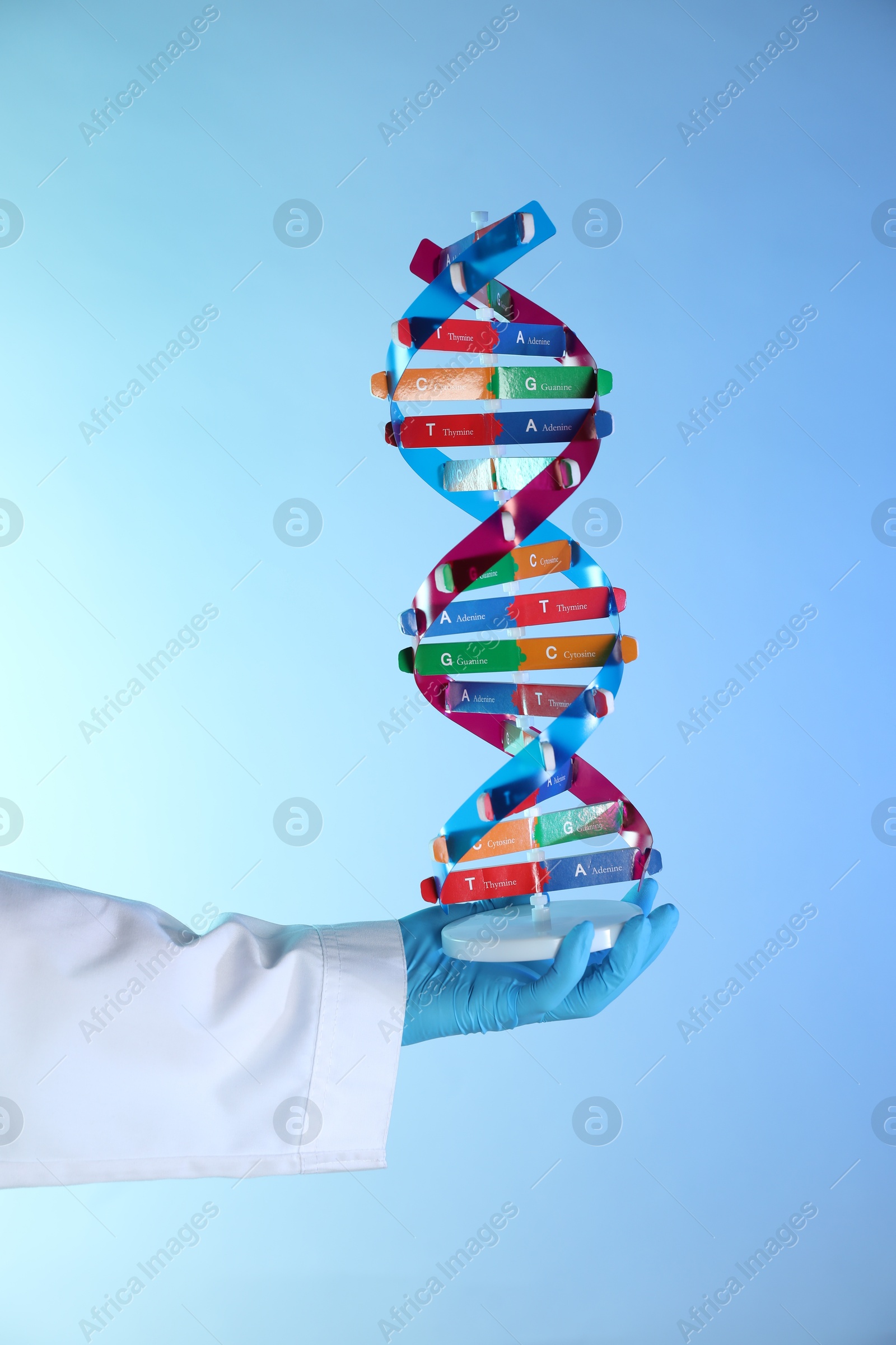 Photo of Scientist with DNA structure model on color background, closeup