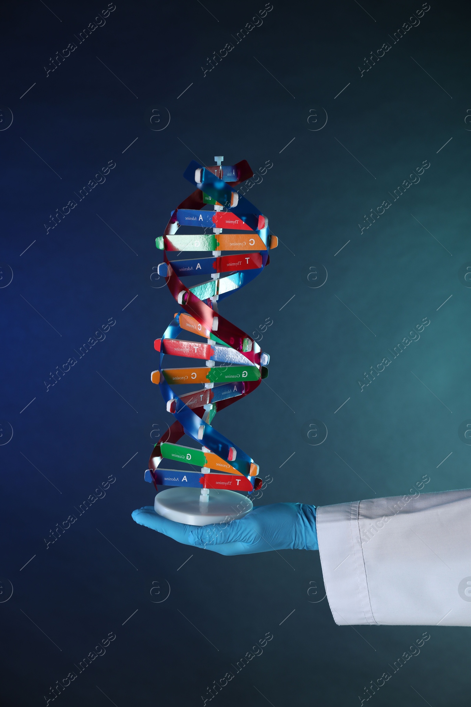 Photo of Scientist with DNA structure model on dark blue background, closeup