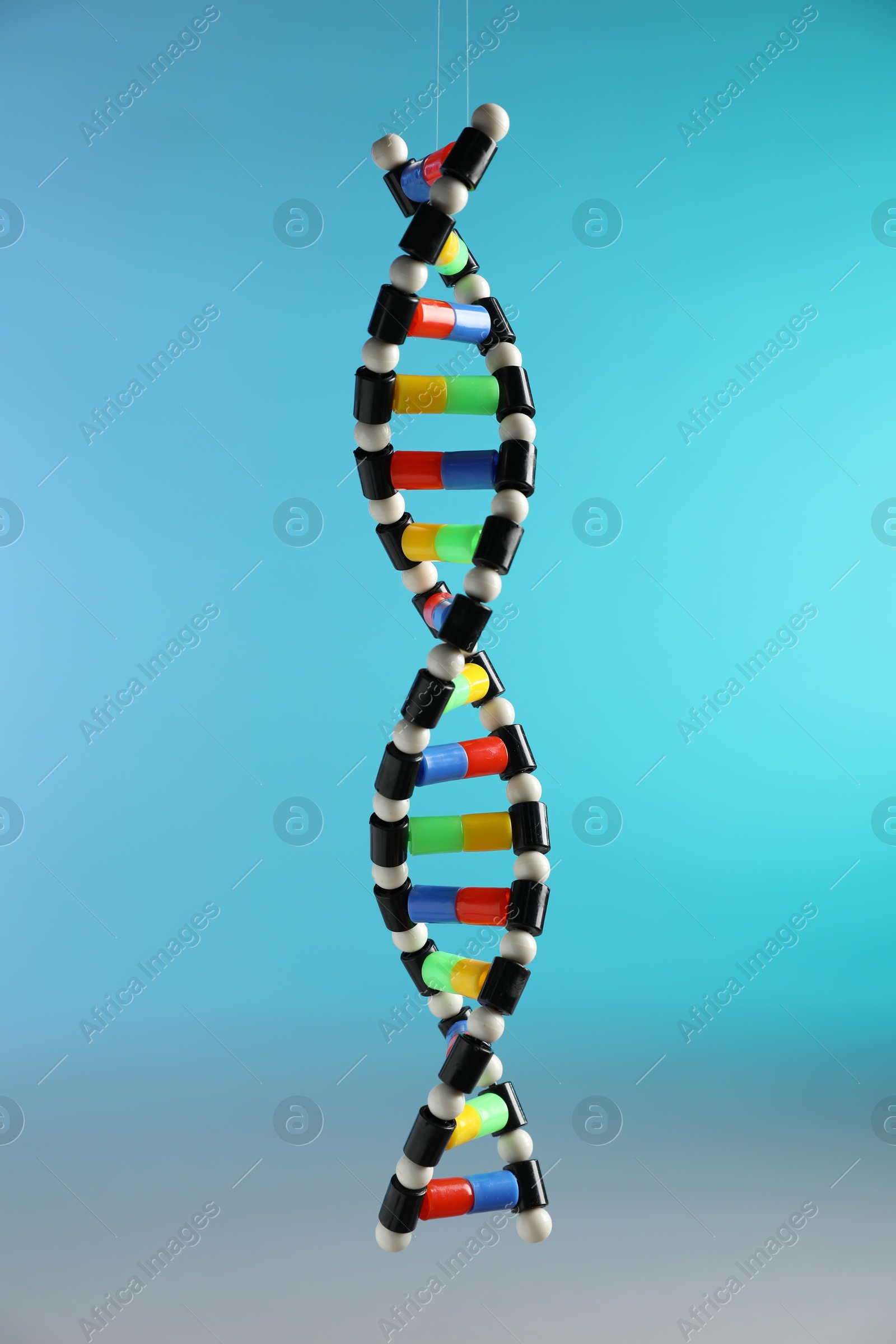 Photo of DNA structure model on light blue background