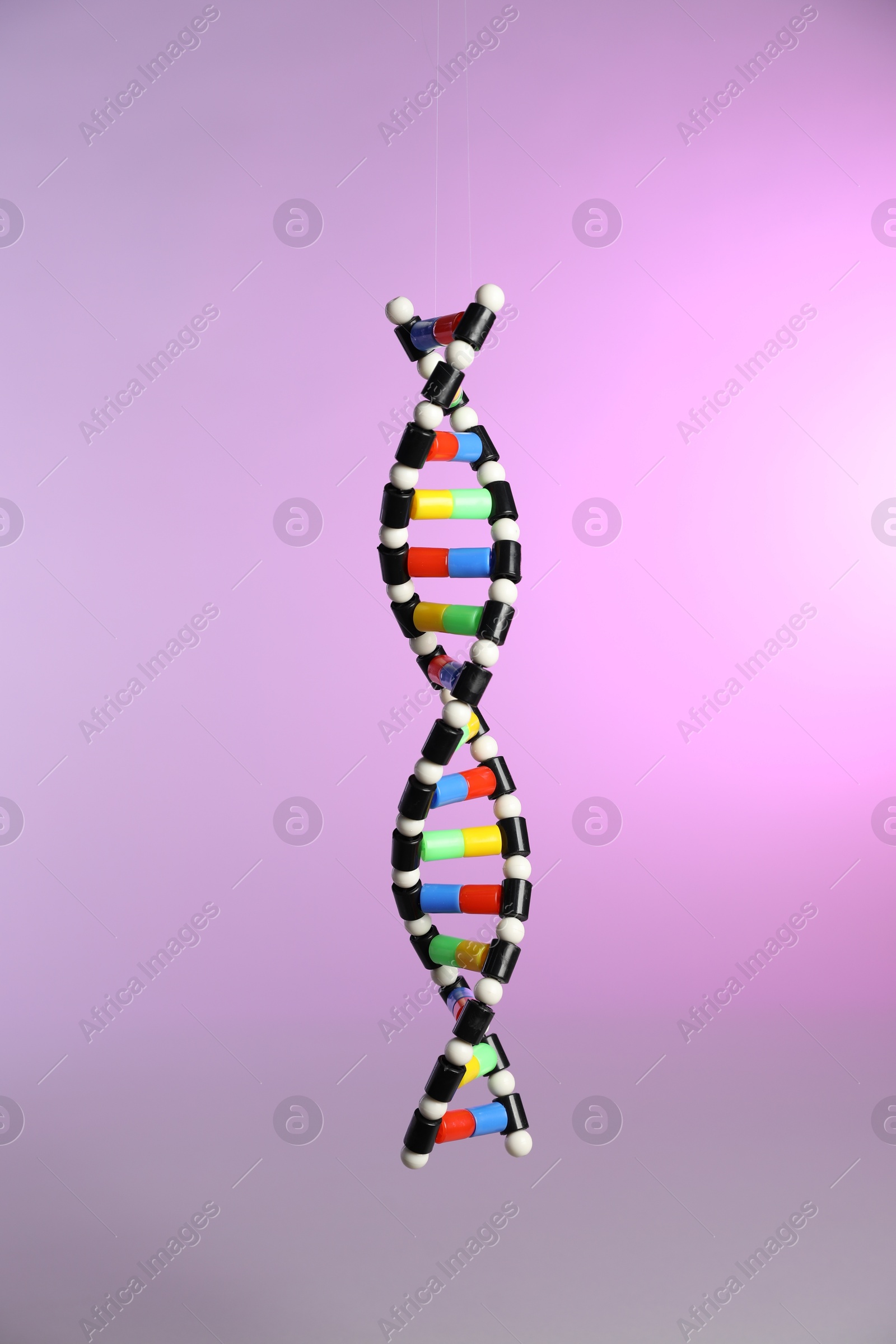 Photo of One DNA structure model on color background