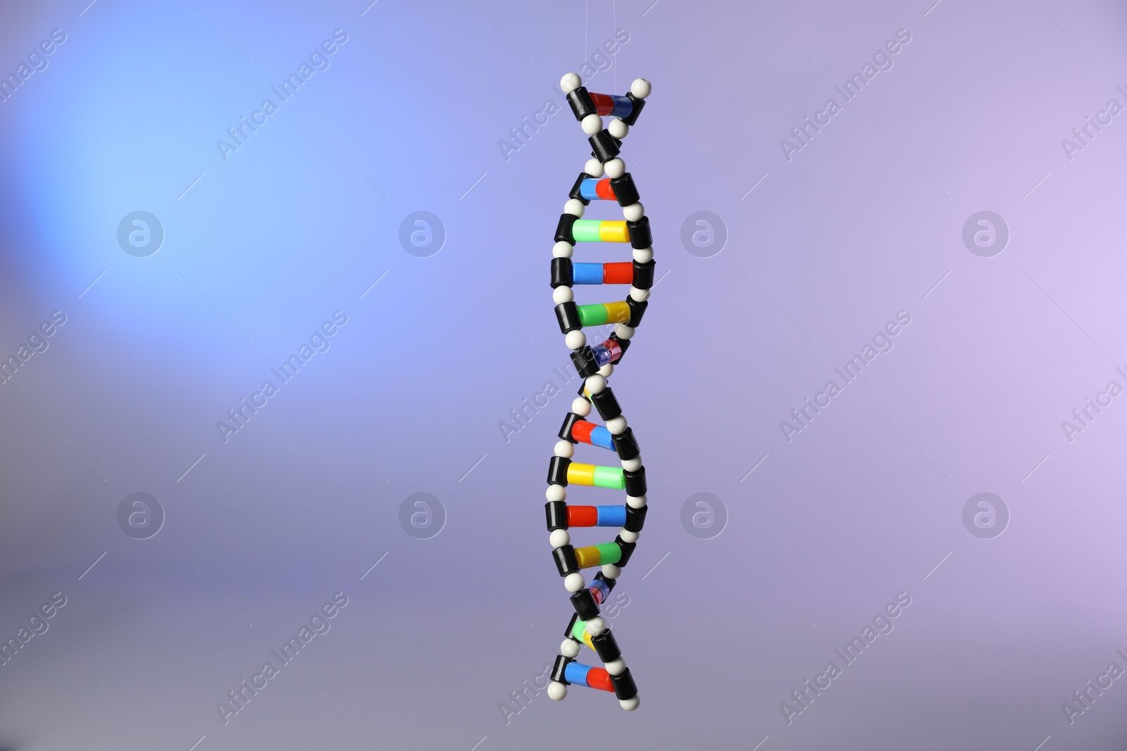 Photo of One DNA structure model on color background