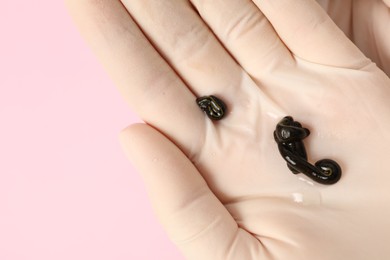 Photo of Woman holding medicinal leeches on pink background, closeup