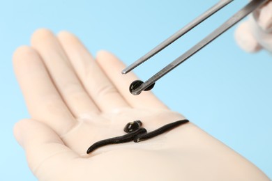 Photo of Woman holding medicinal leech with tweezers on light blue background, closeup