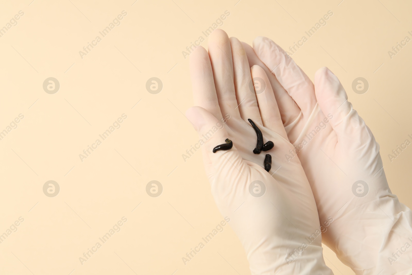 Photo of Woman holding medicinal leeches on pale yellow background, closeup. Space for text