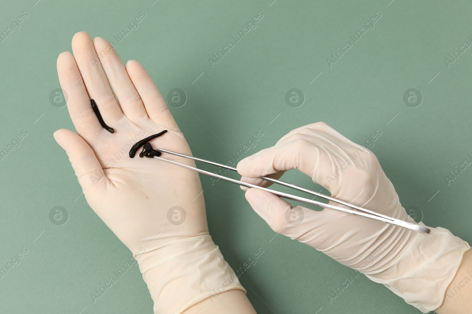 Photo of Woman holding medicinal leech with tweezers on green background, top view