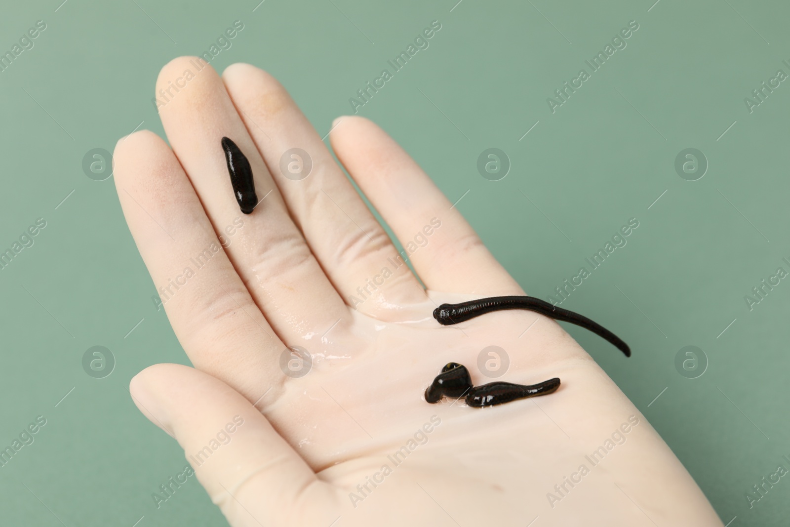 Photo of Woman holding medicinal leeches on green background, closeup