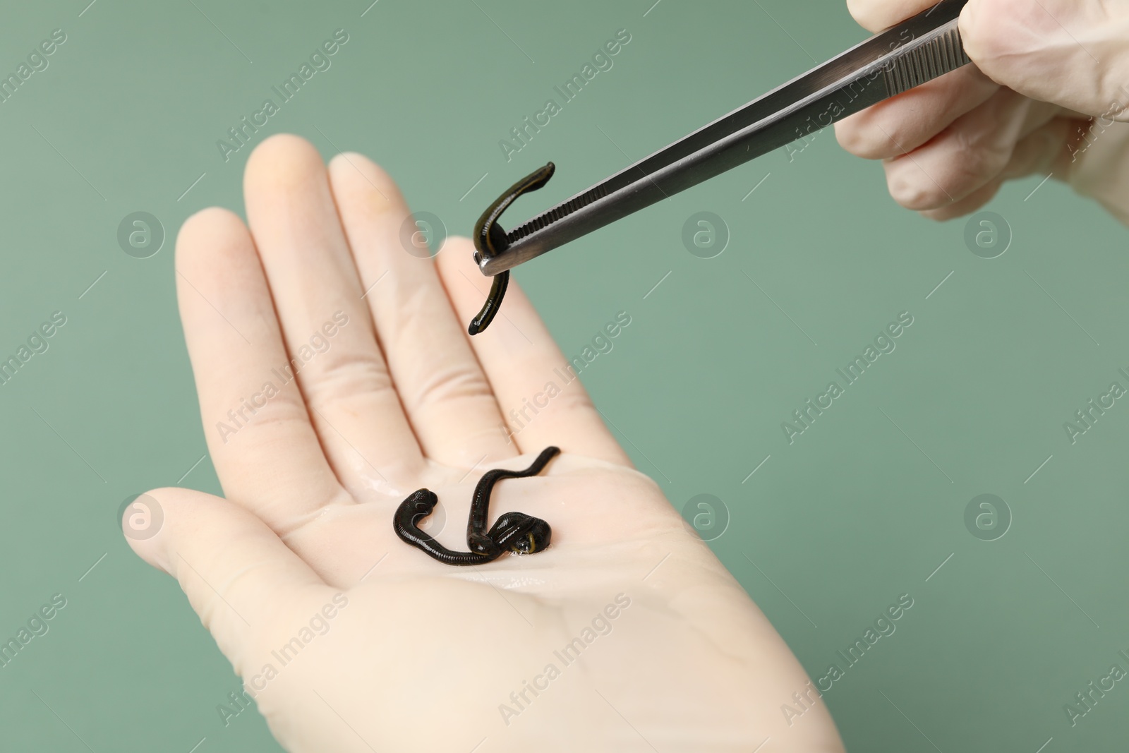 Photo of Woman holding medicinal leech with tweezers on green background, closeup