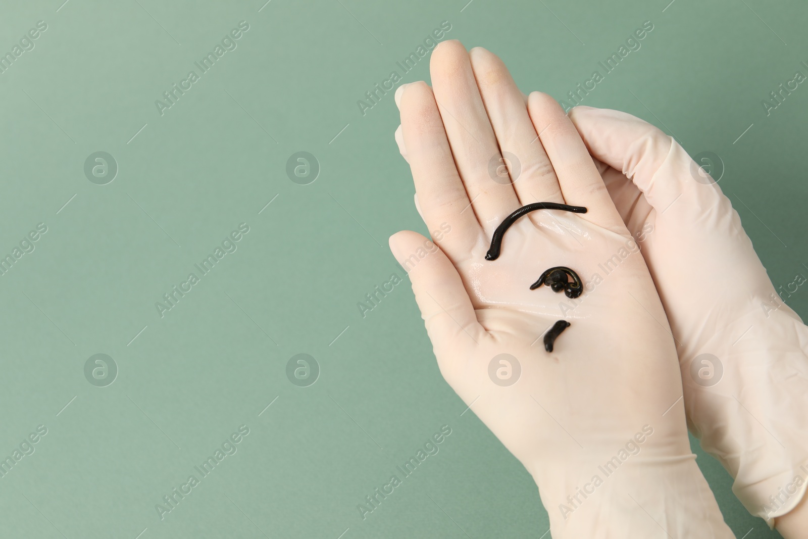 Photo of Woman holding medicinal leeches on green background, closeup. Space for text