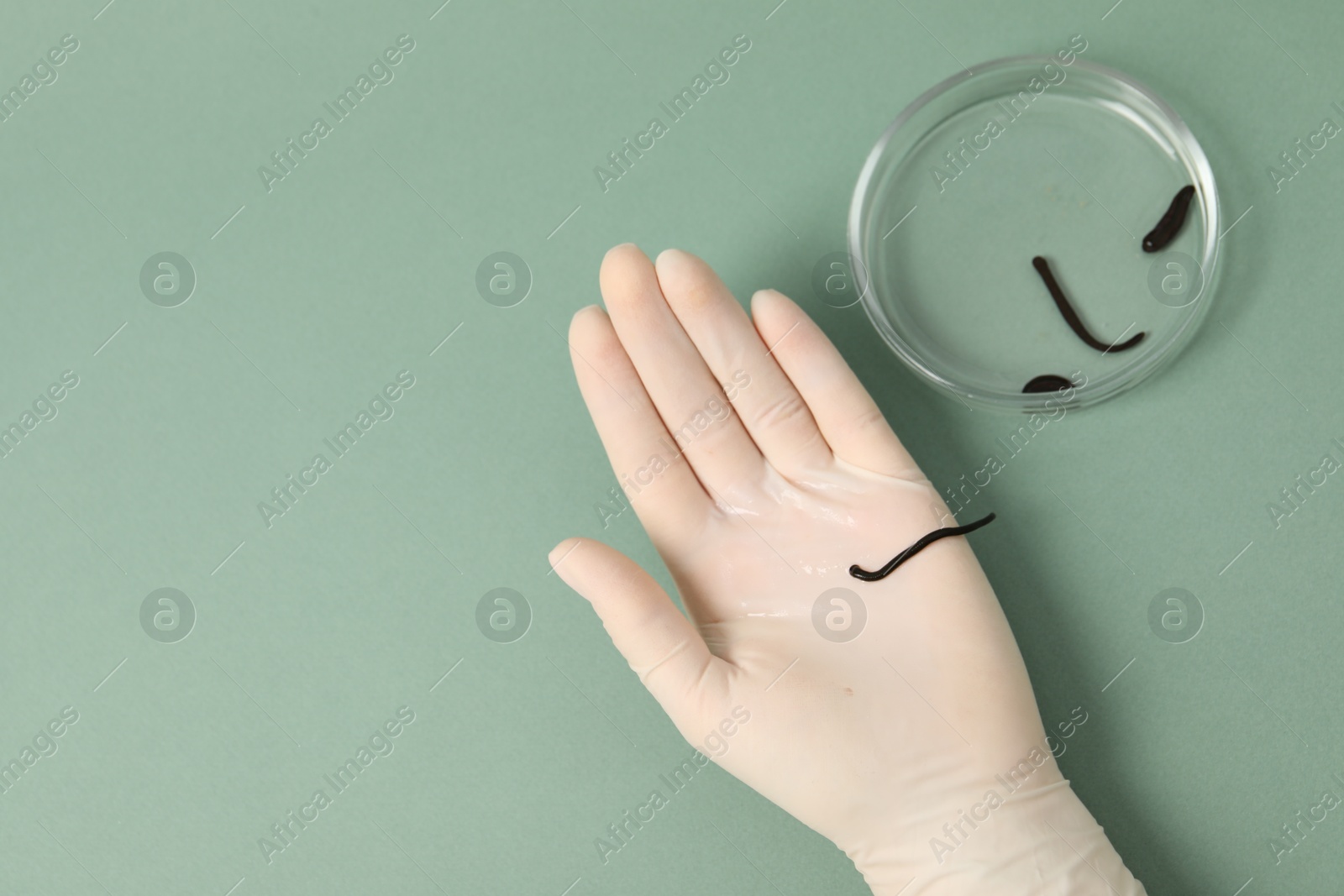 Photo of Woman holding medicinal leech on green background, top view. Space for text