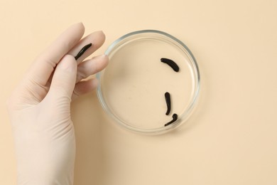 Photo of Woman holding Petri dish with medicinal leeches on pale yellow background, top view