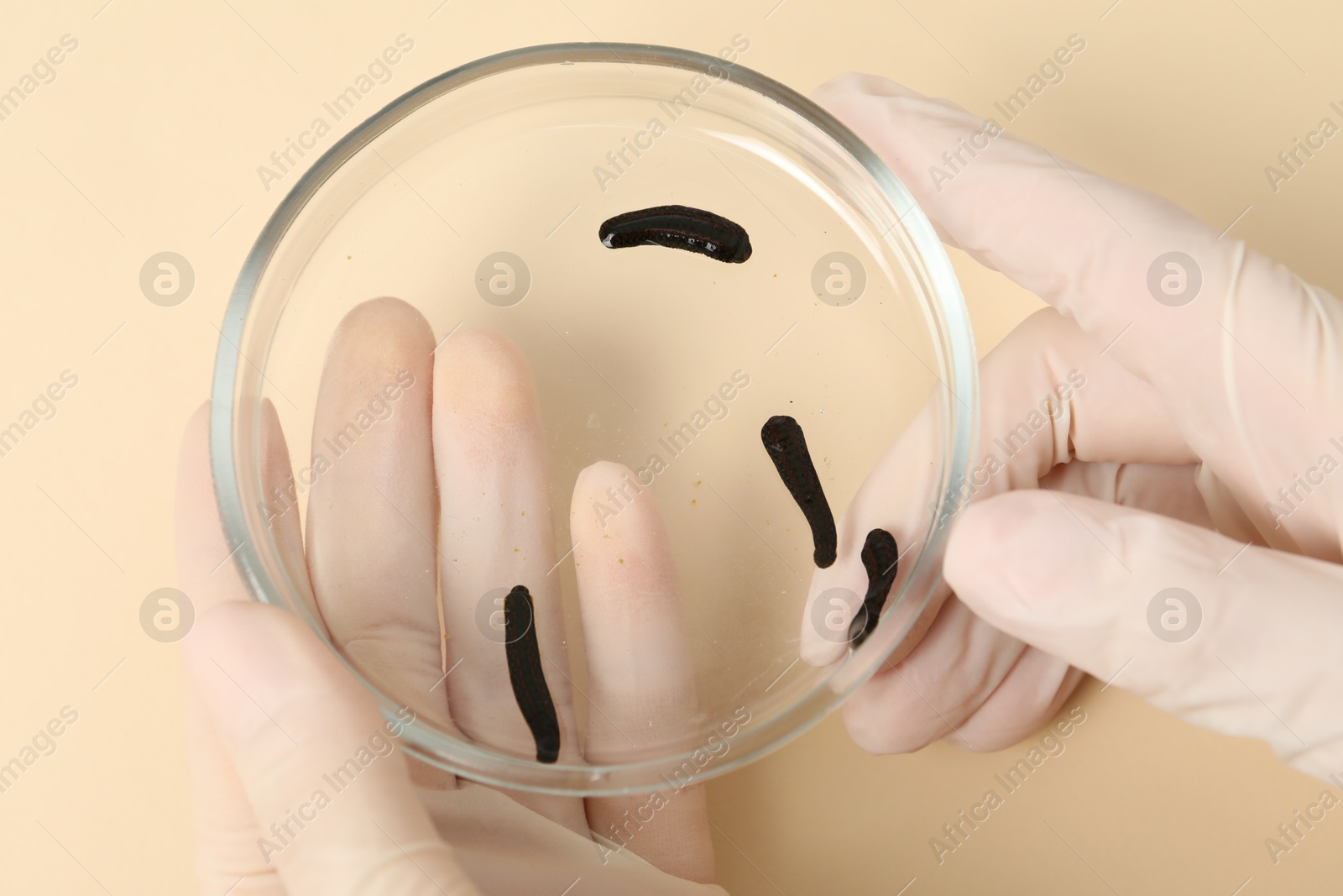 Photo of Woman holding Petri dish with medicinal leeches on pale yellow background, top view