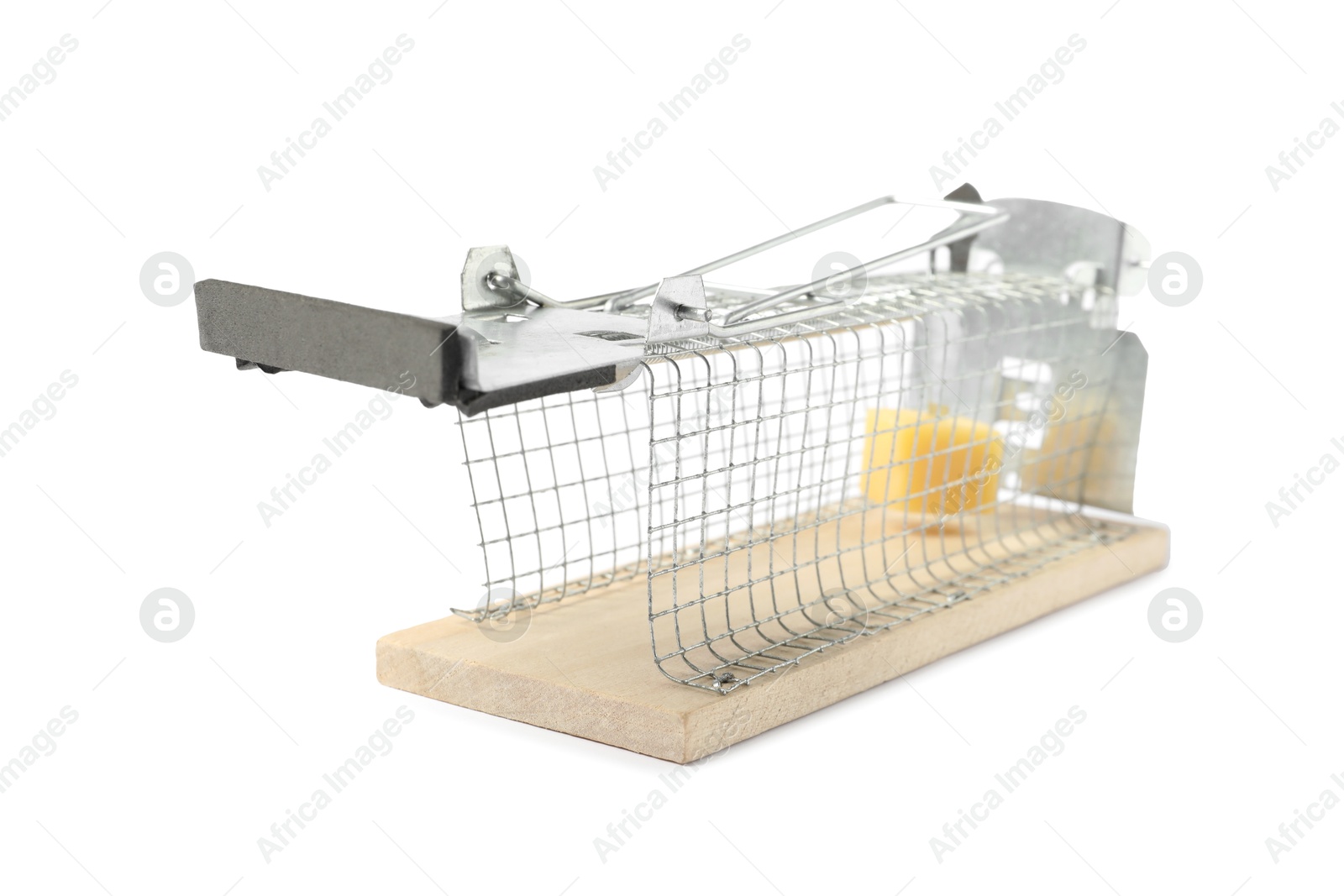 Photo of Mouse trap with cheese isolated on white