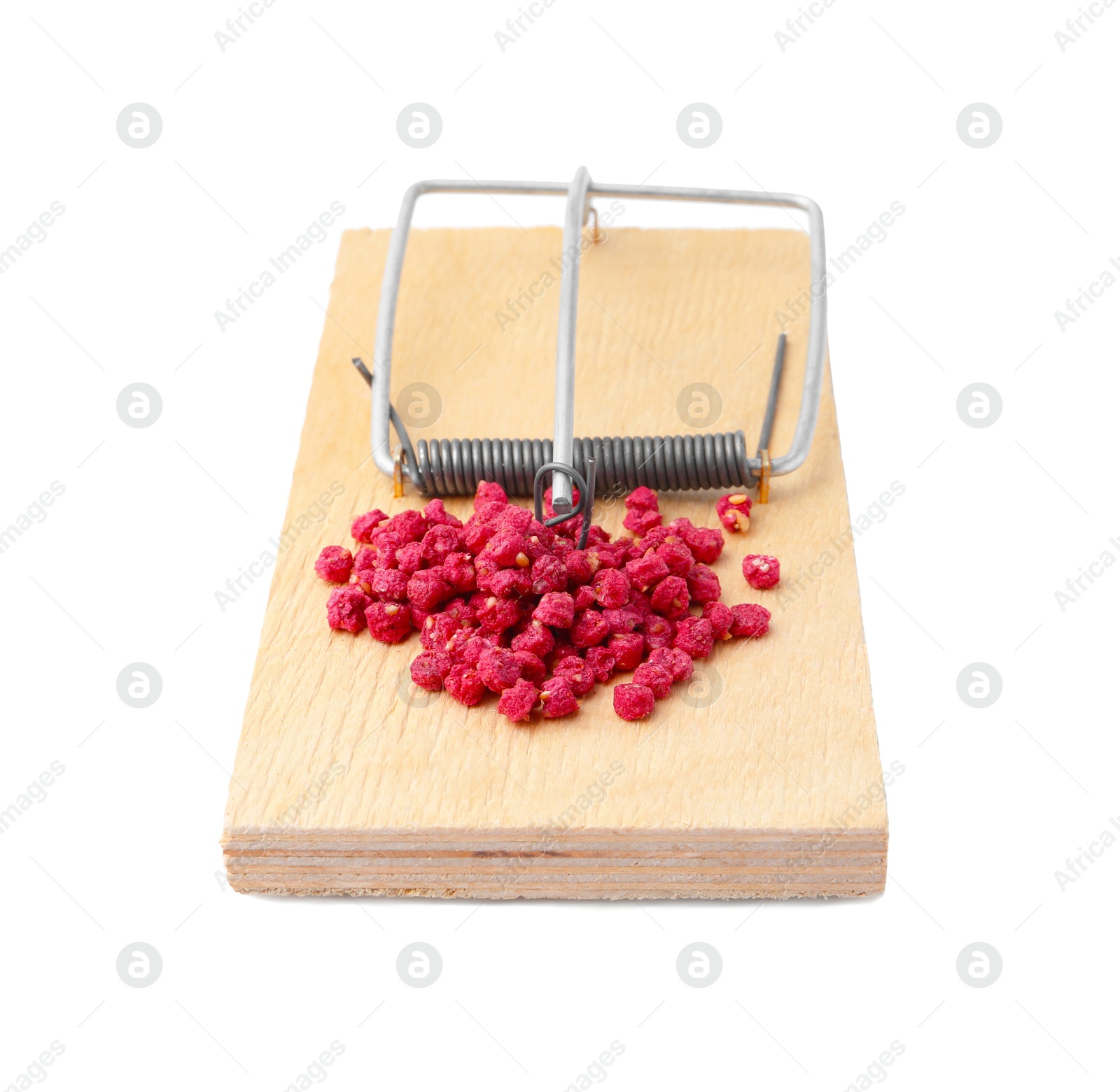 Photo of Mouse trap with rat poison isolated on white