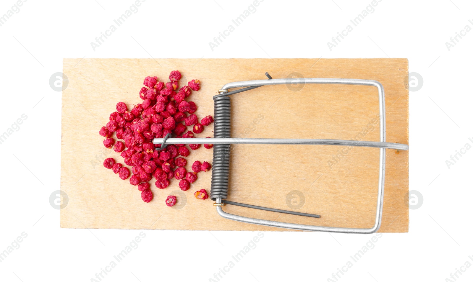 Photo of Mouse trap with rat poison isolated on white, top view