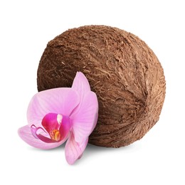 Image of Coconut and pink orchid flower isolated on white