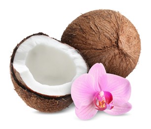 Image of Coconuts and pink orchid flower isolated on white