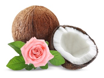 Image of Coconuts and pink rose flower with green leaves isolated on white
