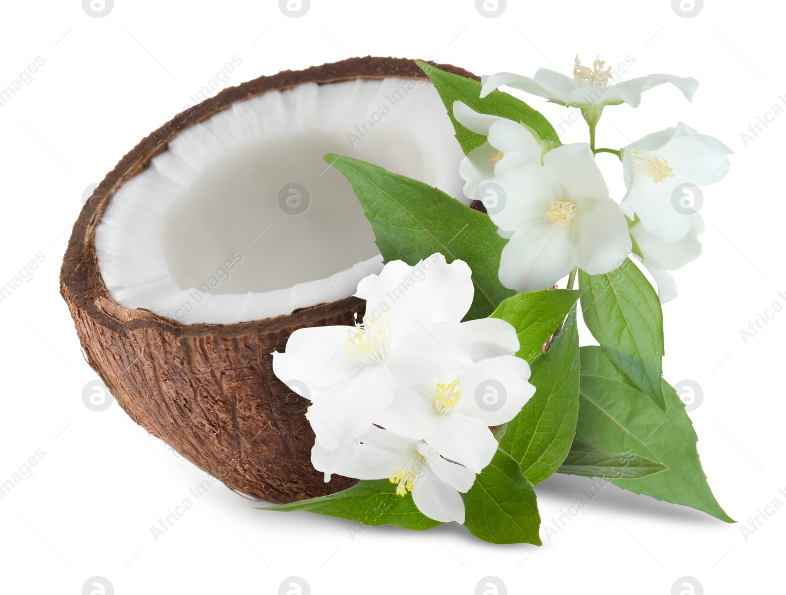 Coconut and jasmine flowers with green leaves isolated on white Image of Coconut and jasmine flowers with green leaves isolated on white