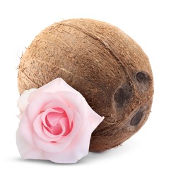 Image of Coconut and pink rose flower isolated on white