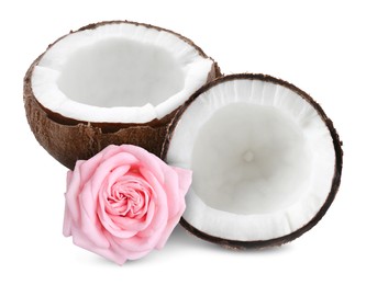 Image of Coconut and pink rose flower isolated on white