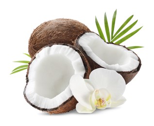 Image of Coconuts, orchid flower and green leaves isolated on white