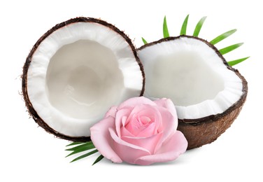 Image of Coconut, pink rose flower and green leaves isolated on white