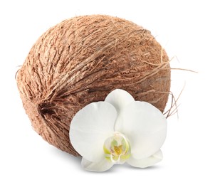 Image of Coconut and orchid flower isolated on white