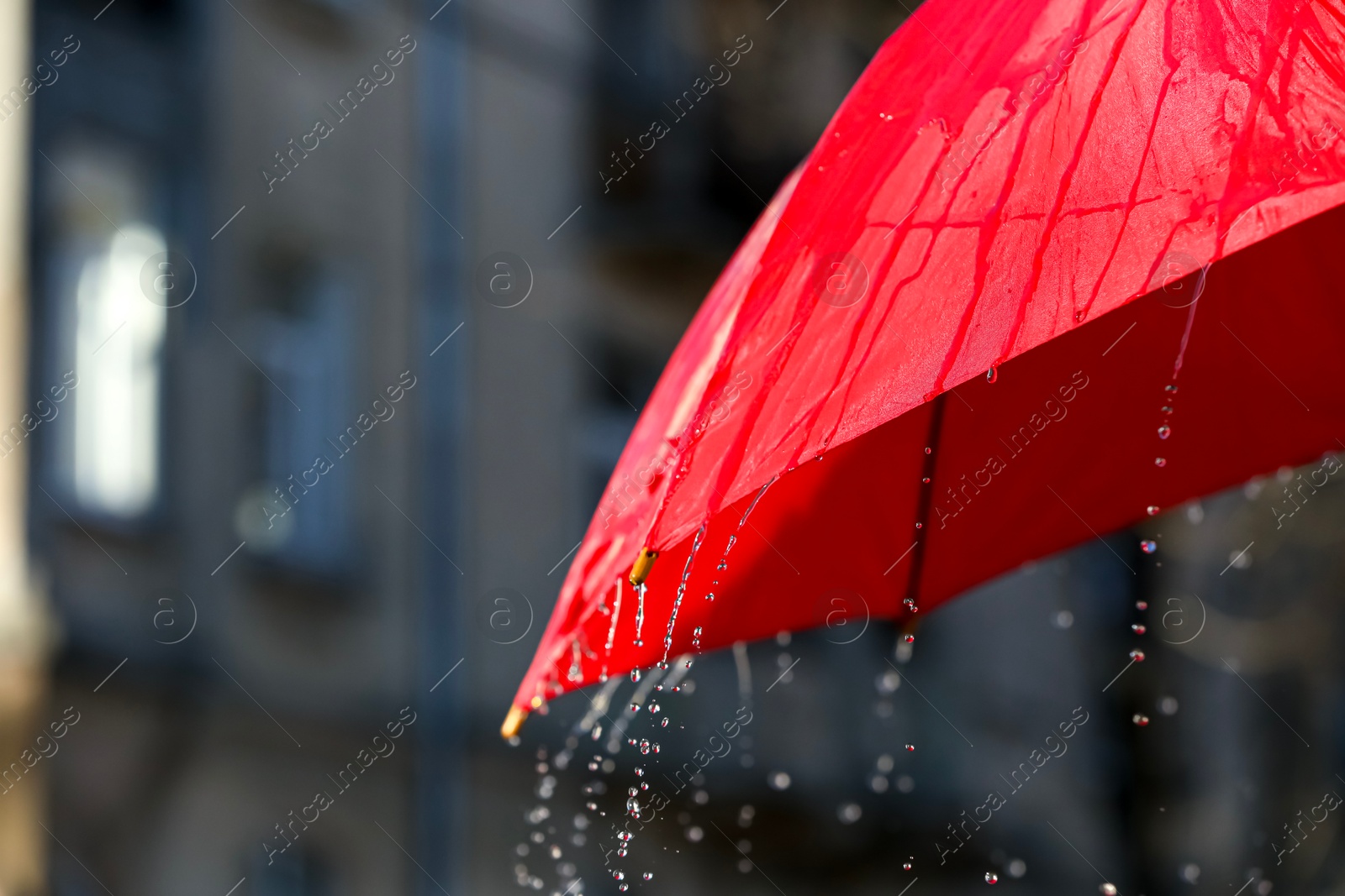 Photo of Open red umbrella under pouring rain outdoors, closeup