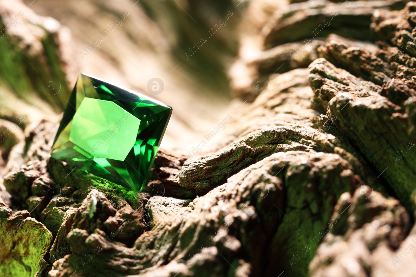 Photo of Beautiful shiny green gemstone on stone, closeup