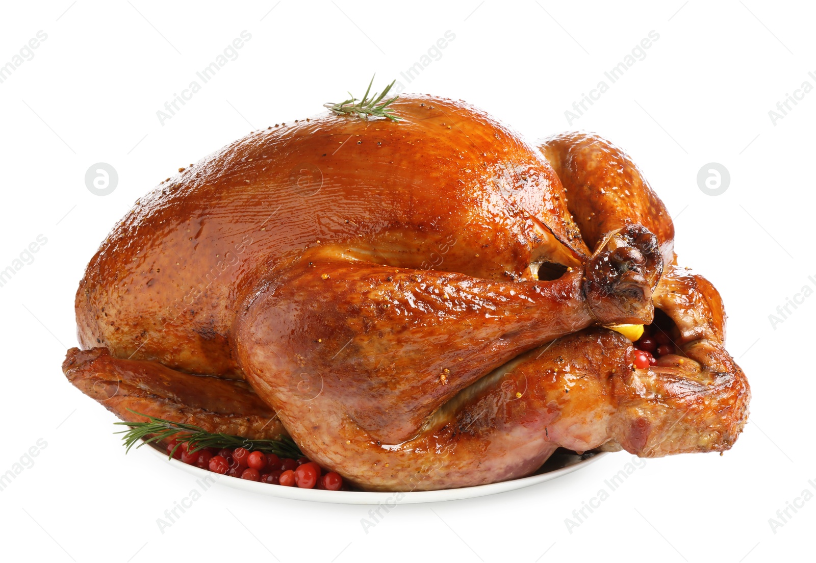 Photo of Whole baked turkey with cranberries and rosemary isolated on white