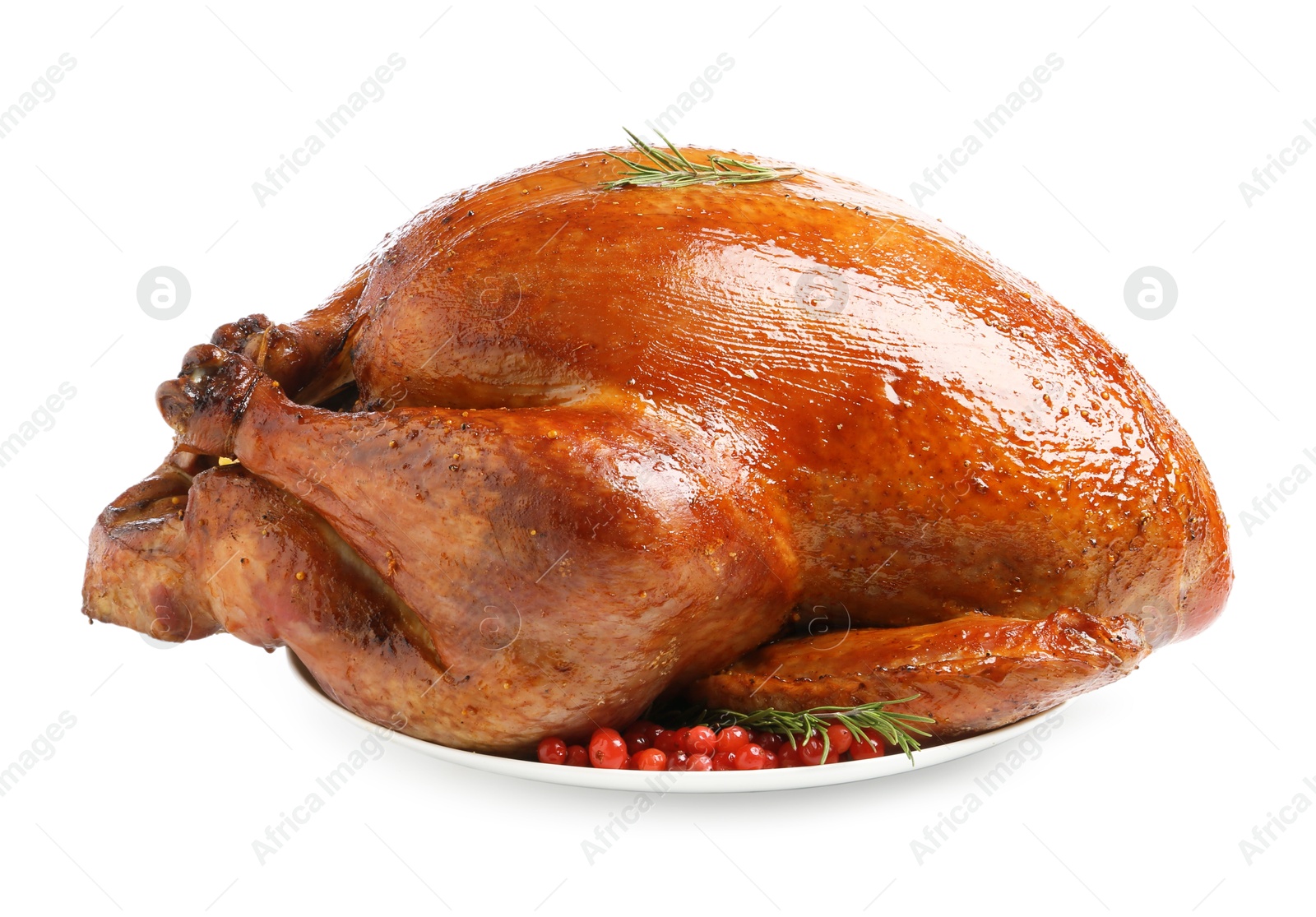 Photo of Whole baked turkey with cranberries and rosemary isolated on white