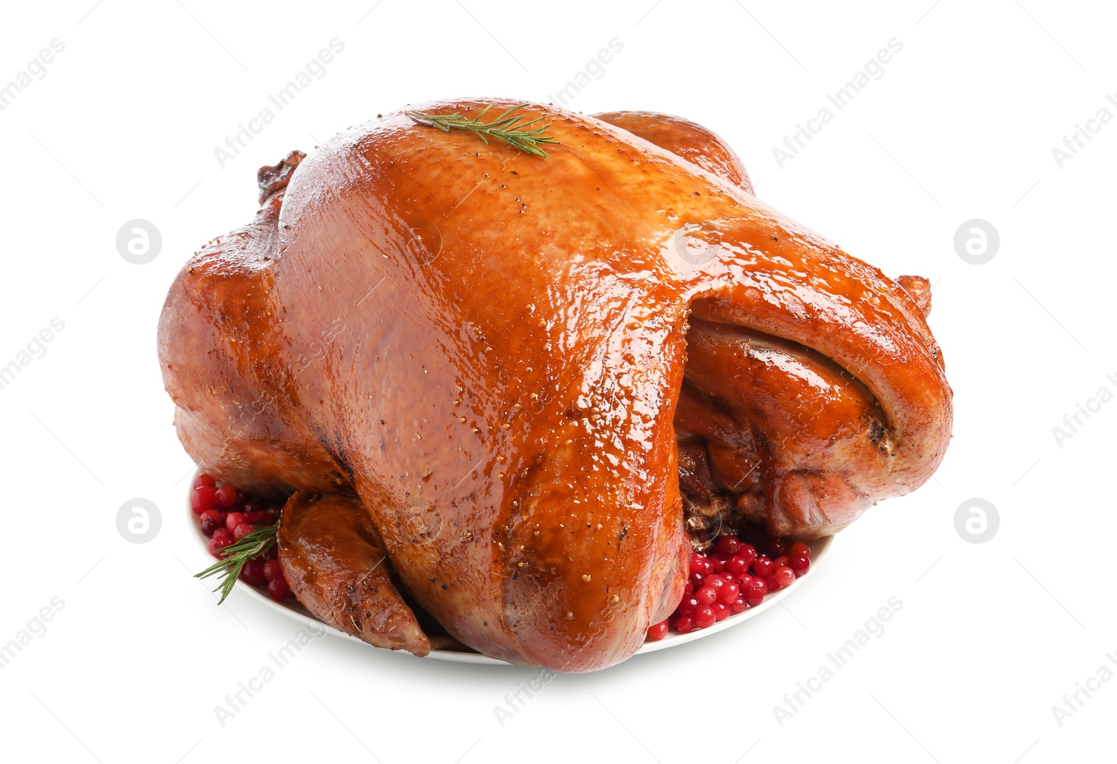 Photo of Whole baked turkey with cranberries and rosemary isolated on white