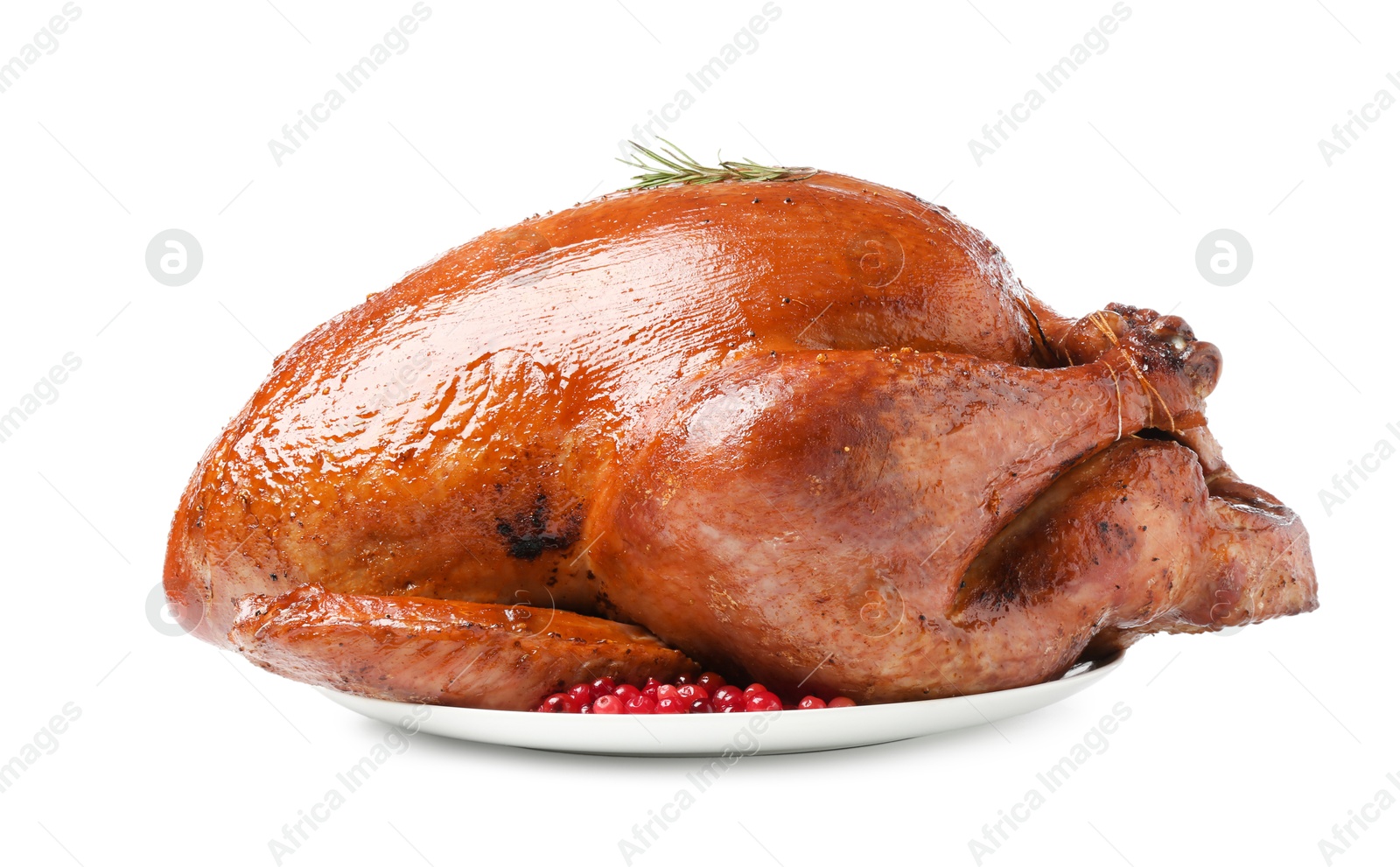 Photo of Whole baked turkey with cranberries and rosemary isolated on white