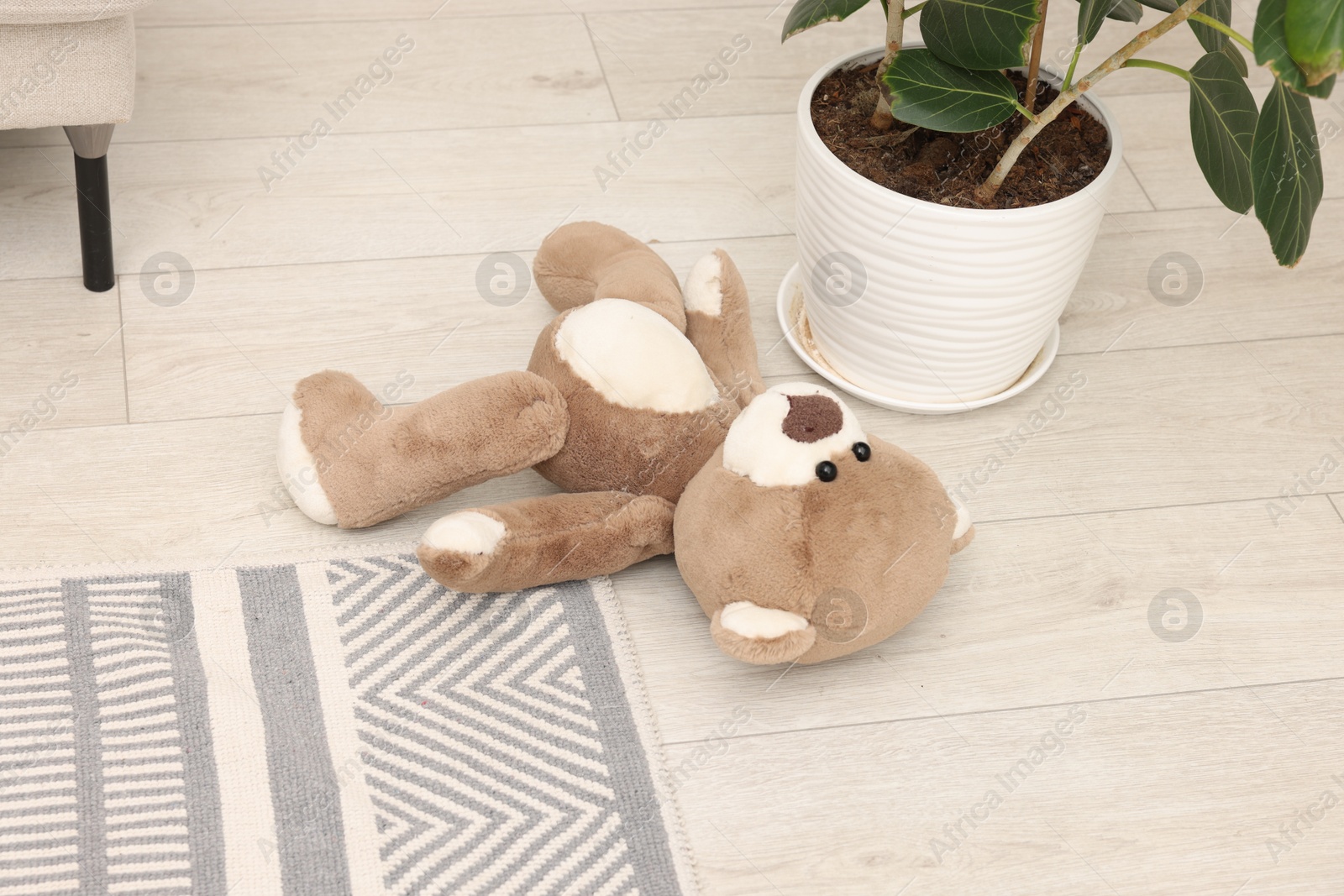 Photo of Lost teddy bear and houseplant on floor indoors