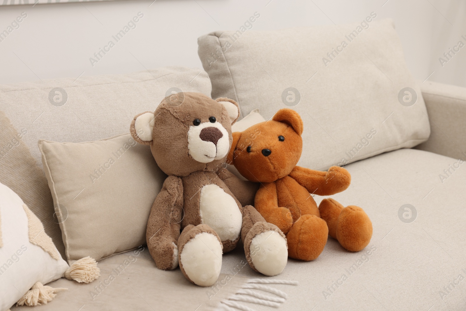 Photo of Two cute teddy bears on sofa in room