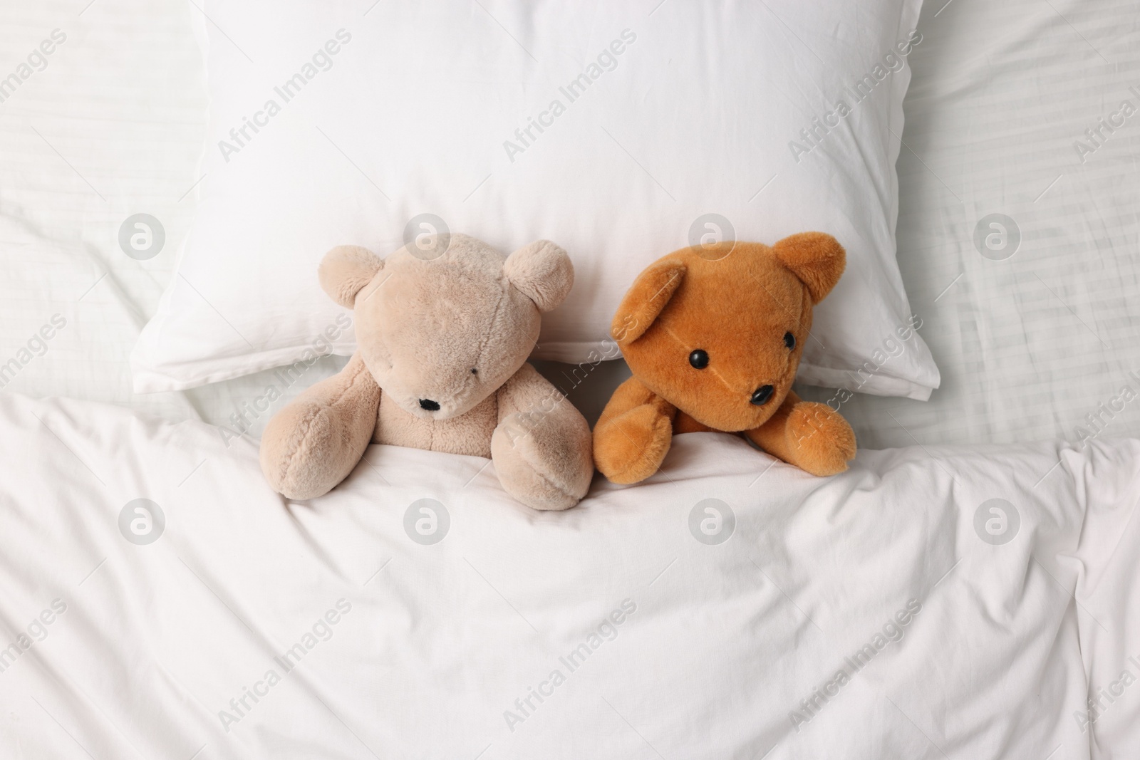 Photo of Two cute teddy bears in bed, above view