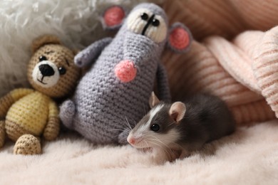 Photo of Adorable little rat and crocheted toys on faux fur