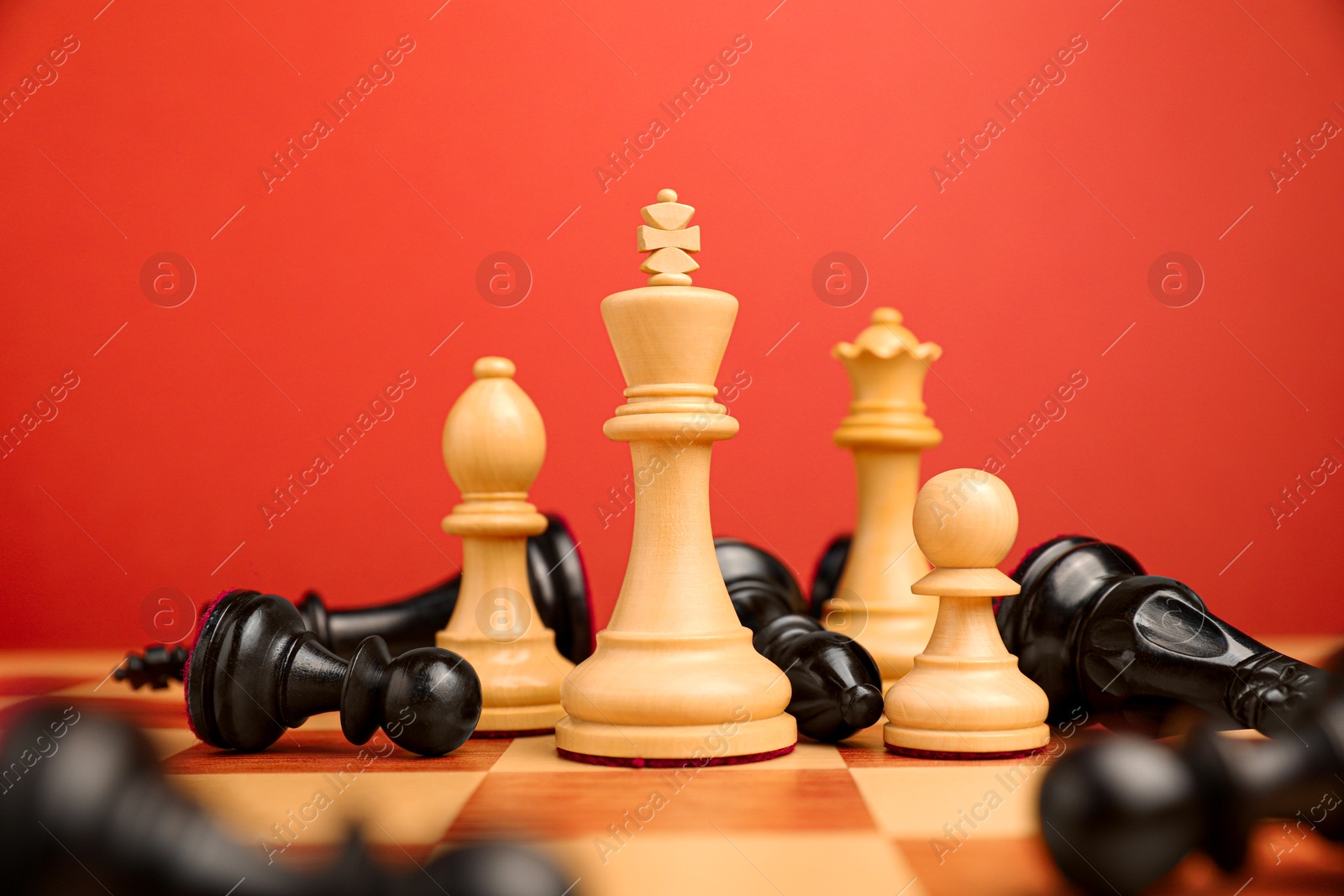 Photo of White chess pieces among other fallen black ones on chessboard, closeup. Competition concept