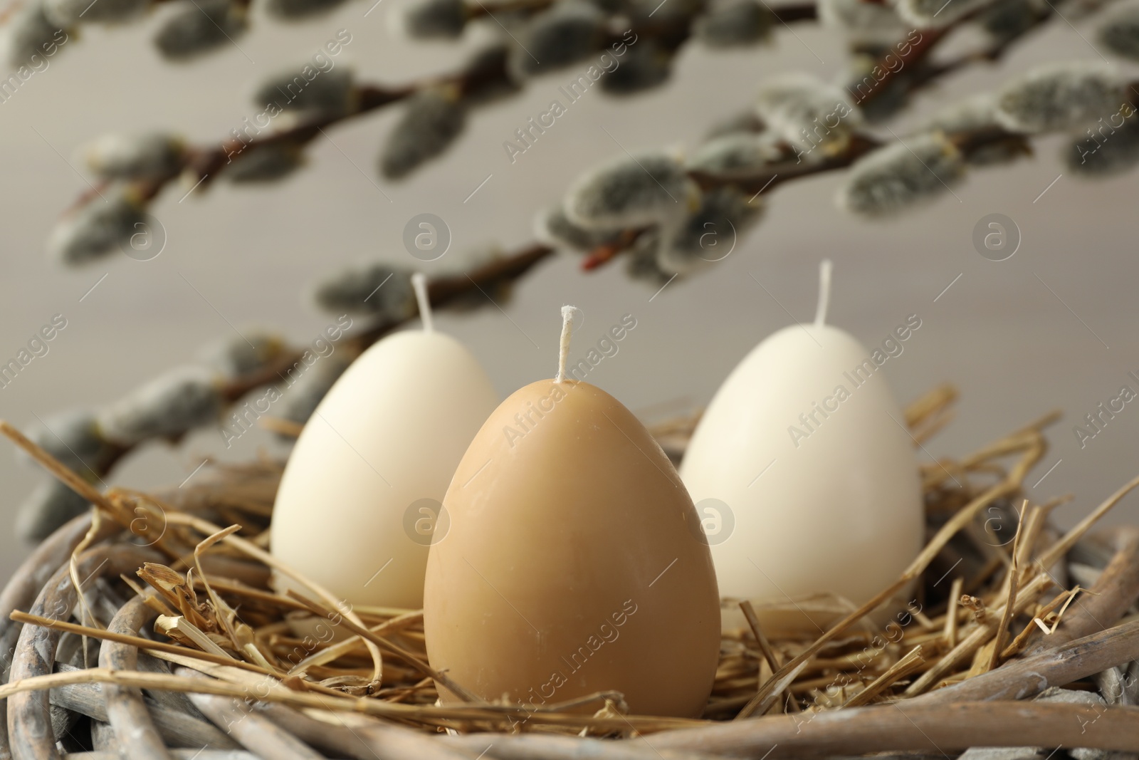 Photo of Egg-shaped candles in nest and willow branches on light gray background, closeup. Easter decor