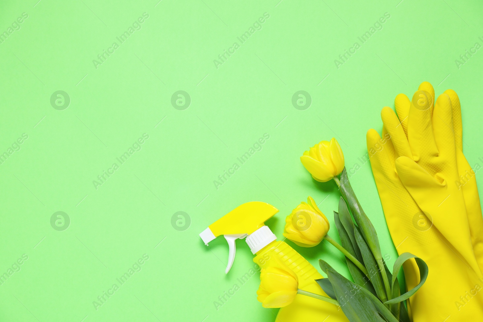 Photo of Spring cleaning. Detergent, gloves and tulips on green background, flat lay. Space for text