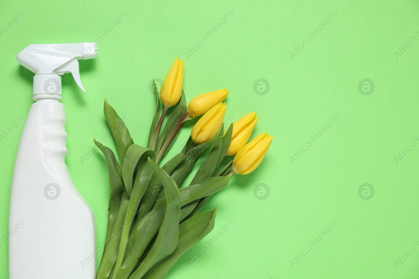 Photo of Spring cleaning. Detergent and flowers on green background, flat lay. Space for text